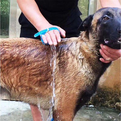 ODM Σιλικόνη PET Καθαριστική Βούρτσα Αυτοκαθαριστική γάτα Καθαριστική Βούρτσα για σκυλιά